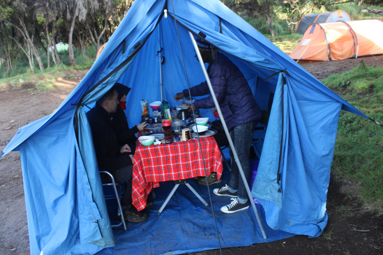 Kilimangiaro: scalata di 7 giorni della Machame Route con le guide