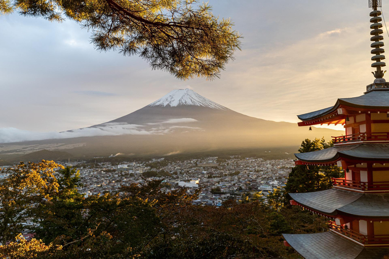 From Tokyo: Mount Fuji day Trip with English Speaking Driver From Tokyo: Private 1-Day Mount Fuji Charter with Driver