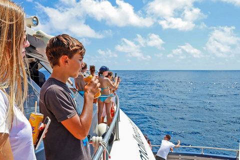 Majorque : Croisière d&#039;observation des dauphinsPaguera : rendez-vous à Playa Tora