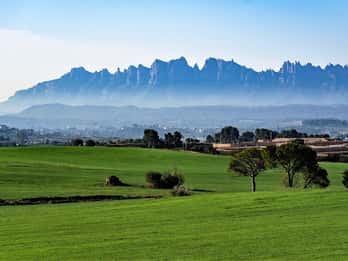 From Sitges: Montserrat, Lunch and Winery with Hotel Pick Up