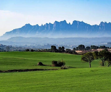 From Sitges: Montserrat, Lunch and Winery with Hotel Pick Up