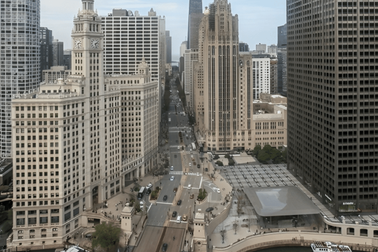 Tour privato a piedi dei punti salienti di Chicago con una guida