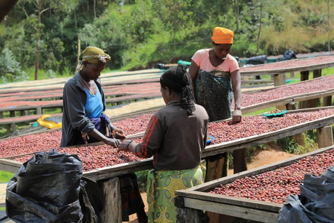 Kigali: 2-Day Kinunu Coffee Tour & Lake Kivu Exploration