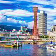 Kobe/Himeji: Private Guided Tour & Optional Kobe Beef Lunch