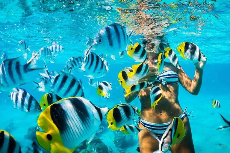 Punta Cana Bavaro: Catamarã privado com snorkel, open bar e navegaçãoPunta Cana Bavaro: Catamarã privado com snorkel, open bar e passeio de barco