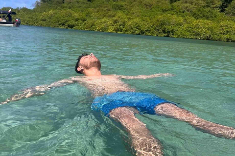 Panama City: Portobelo Jungle, Reef & Venas Azules Tour