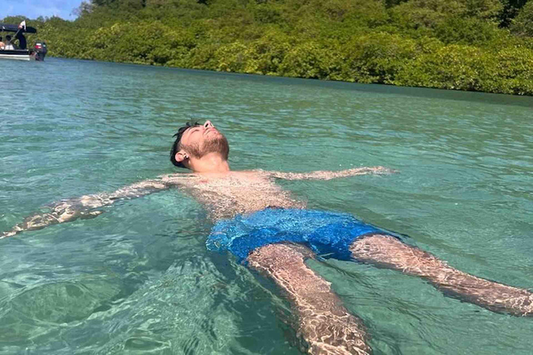 Panama City: Portobelo Jungle, Reef & Venas Azules Tour