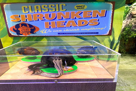 Cancun : Bus en bus à arrêts à arrêts multiples et attractions multiplesCancun : Visite à arrêts multiples de la ville et roue d'observation du ciel