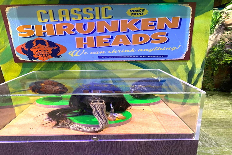 Cancun : Bus en bus à arrêts à arrêts multiples et attractions multiplesCancun : Visite à arrêts multiples de la ville et roue d'observation du ciel