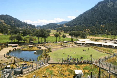 Cajamarca: Wycieczka po farmach Pocon i Otuzco