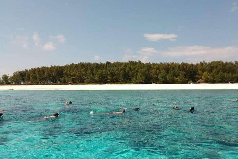 زنجبار: جولة خاصة في جزيرة منيمبا المرجانيةجولة خاصة بدون استلام أو توصيل من الفندق بدون غداء