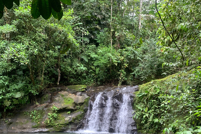 Puerto Viejo Talamanca: Quad Tour with 2 Waterfalls