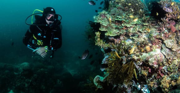 Scuba Diving in Boracay: SSI Open Water Certification