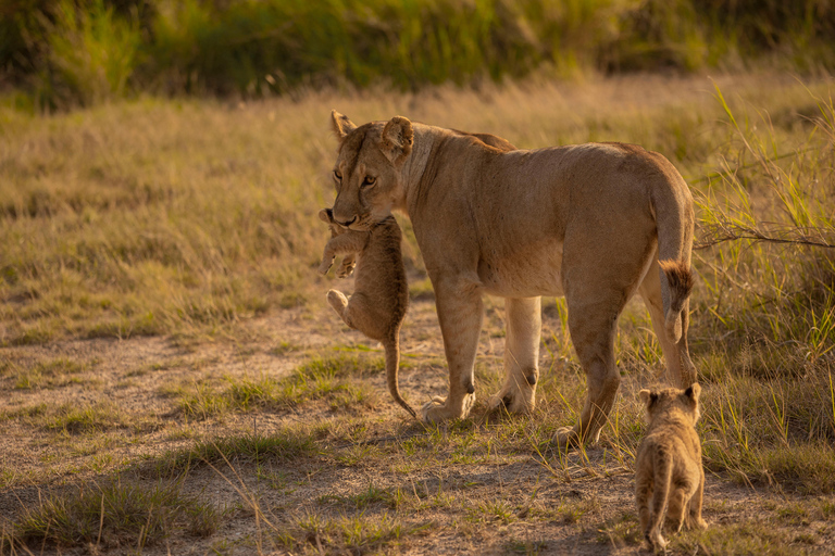 4-Day Fly-in Zanzibar & Fly-out Arusha Bush to Beach Safari