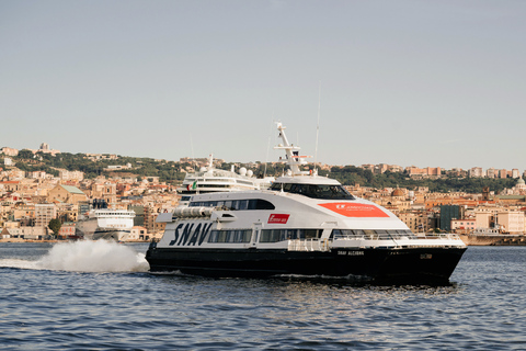 Naples: Fast Ferry Journey Between Naples and Procida Island Same-day Round-trip From Naples to Procida Island