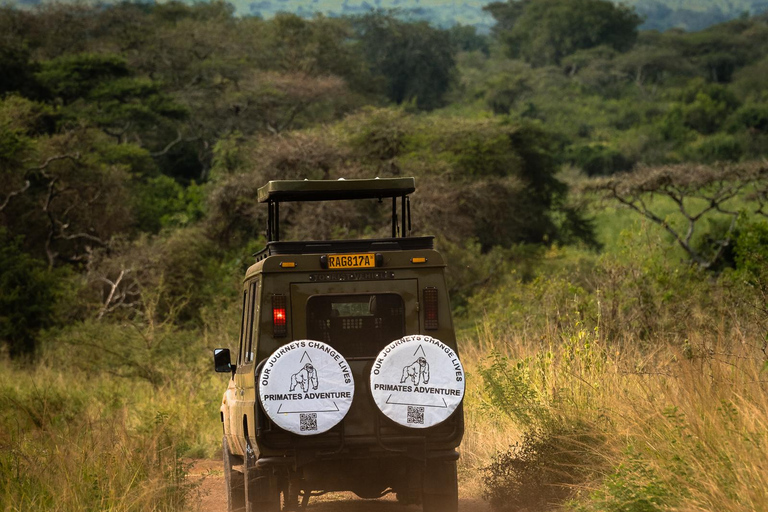 Ruhengeri, Rwanda (safari z trekkingiem na goryle)