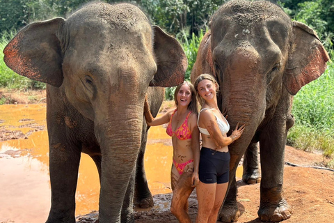 Chiang Mai: Elephant Sanctuary, Waterfall and Rafting Tour Hotel Pickup