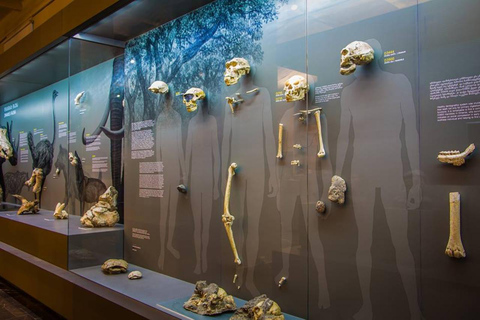 Georgian National Museum Entry Ticket