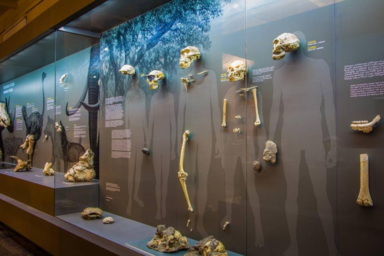 Georgian National Museum Entry Ticket