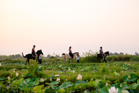 Siem Reap: Horseback Ride with Tour Guide at Phnom Krom (1 hour) Horseback Ride with Tour Guide
