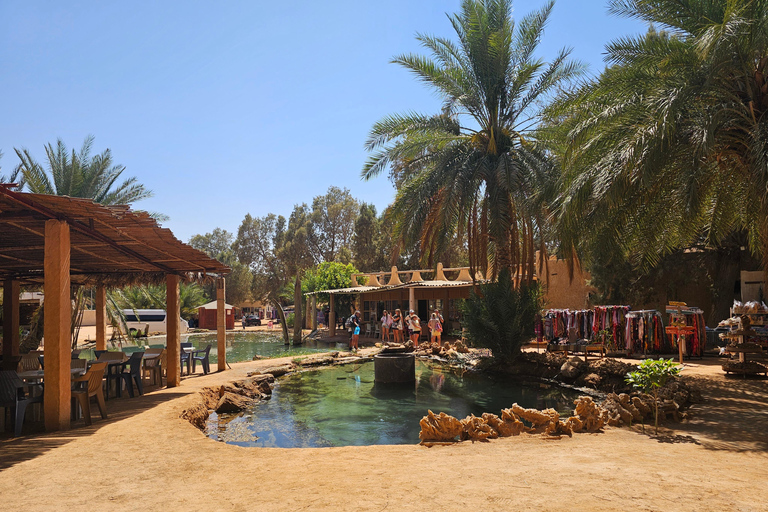 2-Day Sahara Escape: Ksar Ghilane Oasis & Desert Camp 2-Day Sahara Escape: from Mahdia