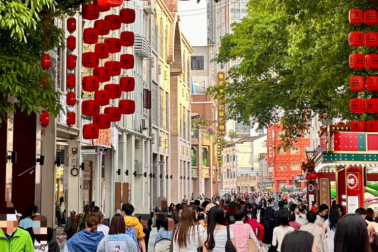 广州：现代化、市场、糖水、寺庙和小袋DIY西班牙语/法语/意大利语/日语/韩语/俄语导游