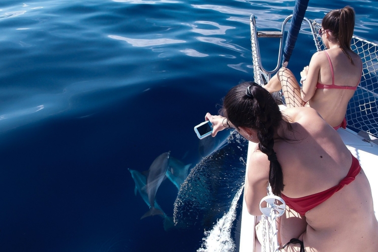 Tenerife: privéjacht van 3 uur met walvissen en dolfijnen spotten
