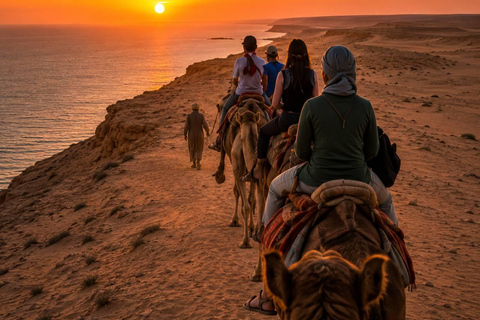 Dakhla: Sunset Camel Ride with Mint Tea and Photos