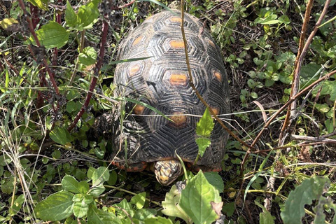 UTV & Horseback Tour with Wildlife Views from Cartagena