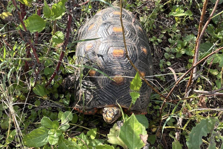 UTV & Horseback Tour with Wildlife Views from Cartagena