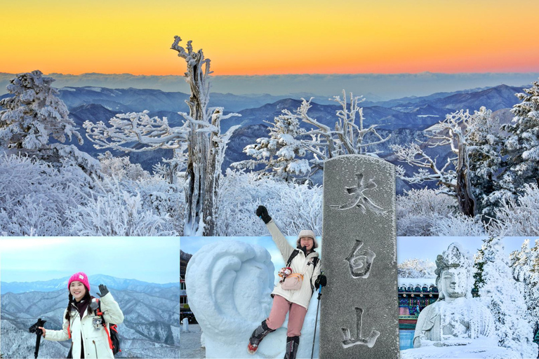 Depuis Séoul : Randonnée au lever du soleil de Taebaeksan sur les fleurs de neige et K-food