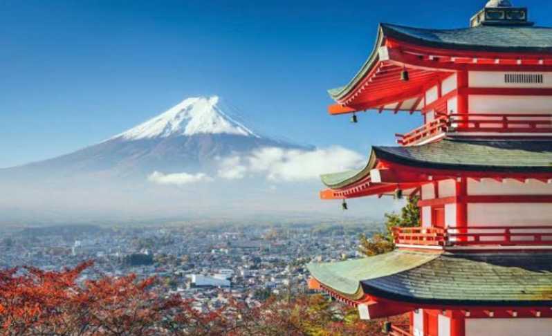 Da Tokyo: Tour privato di un giorno intero sul Monte Fuji personalizzabile