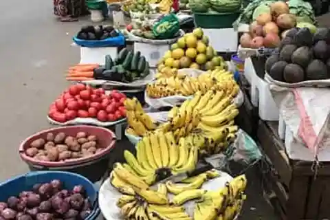 Excursão de 1 dia à cidade de Moshi
