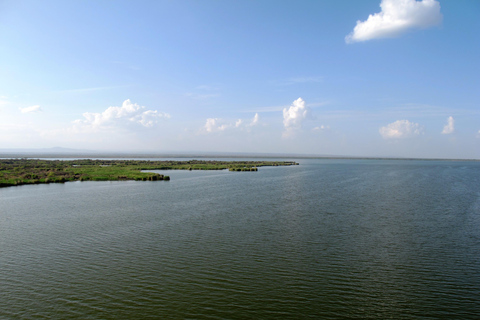 Addis Ababa: 5-Day Northern Ethiopia Historical Tour