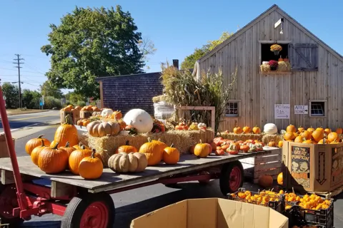 Autumn in New England