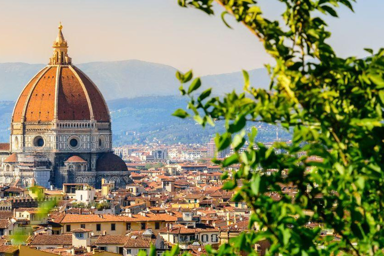 Tour della città di Firenze in golf cart e Piazzale Michelangelo