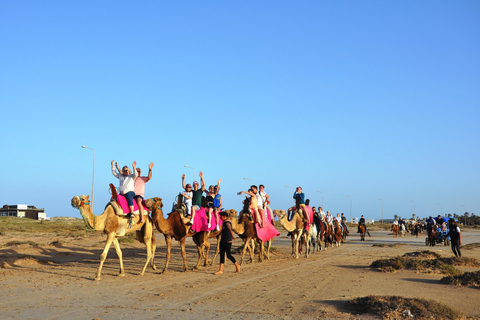 DJERBA: KAMEEL EN PAARD (2U30).