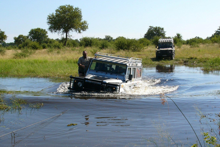 All-Inclusive 4-Day Safari Through Boteti, Pans &amp; Delta