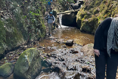 Chiang Mai : Randonnée d'une journée à Doi Saket - Itinéraire non touristiqueChiang Mai : Randonnée d'une journée à Doi Saket - Itinéraire non touristique.