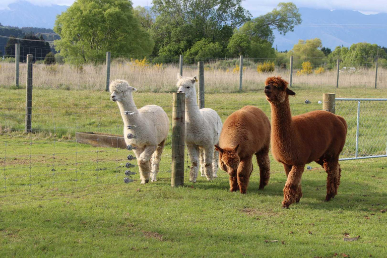 From Queenstown: Coach, Farm Tour &amp; Milford Nature Cruise