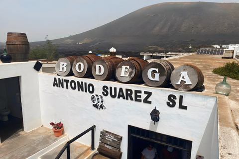 لانزاروت: تاباس مسائي، تجربة مصانع النبيذ ولاغومار