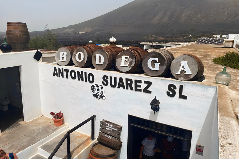 لانزاروت: تاباس مسائي، تجربة مصانع النبيذ ولاغومار