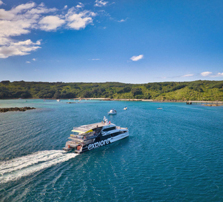 Isla de Tiritiri Matangi: Excursiones de un día desde Auckland