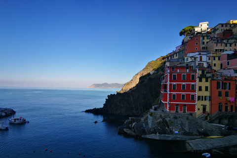 Da Firenze: Tour per piccoli gruppi di un giorno alle Cinque Terre e a Pisa