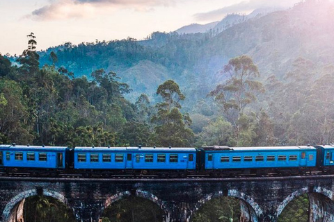 Bentota/Mirissa/Hiriketiya/Tangalle: Ella Scenic Day Tour Udawalawe Elephant Transit Home & Ella Day Tour