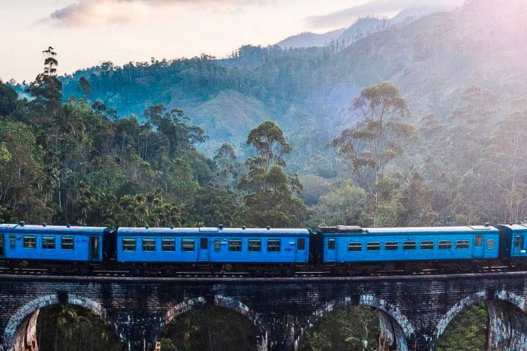 Bentota/Mirissa/Hiriketiya/Tangalle: Ella Scenic Day Tour Udawalawe Elephant Transit Home & Ella Day Tour
