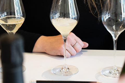 Champagne Vincent d'Astrée: Grape Variety Workshop Champagne Vincent d'Astrée: Grape Varieties Workshop