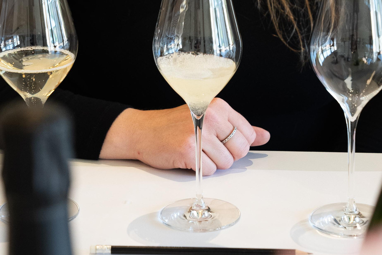 Champagne Vincent d'Astrée: Grape Variety Workshop Champagne Vincent d'Astrée: Grape Varieties Workshop