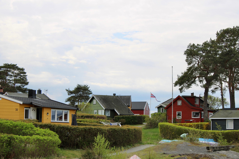 Oslo: Fjord, Birds and Footprints from the Past Cruise