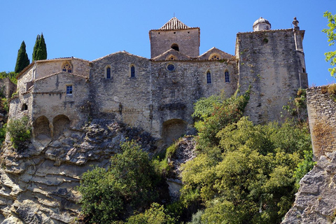 Rzym: Koloseum, Forum Romanum i Palatyn - bilet wstępu bez kolejki